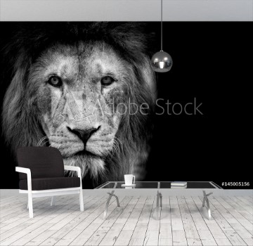 Picture of Black and White Lion